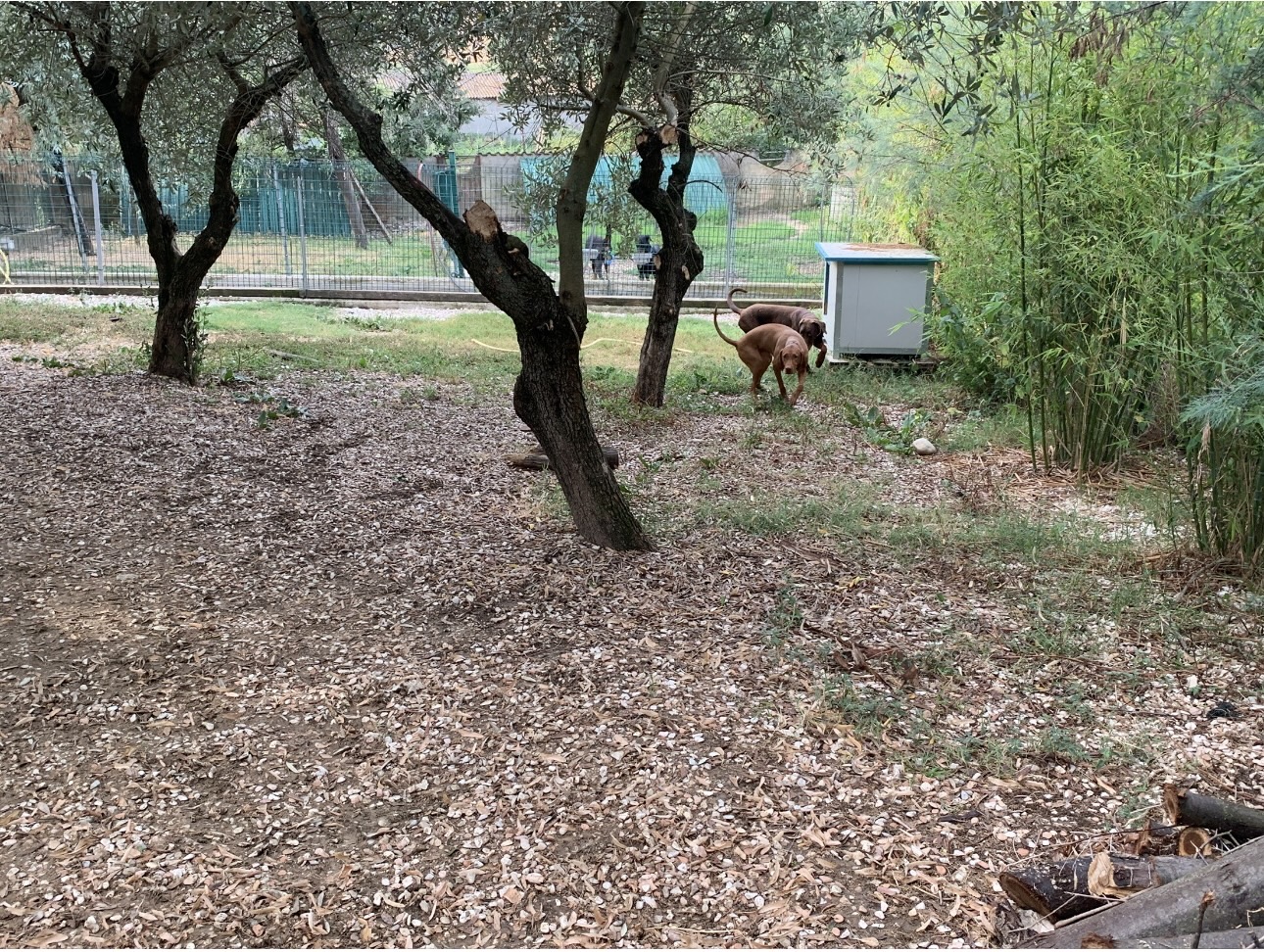 Attività e Benessere