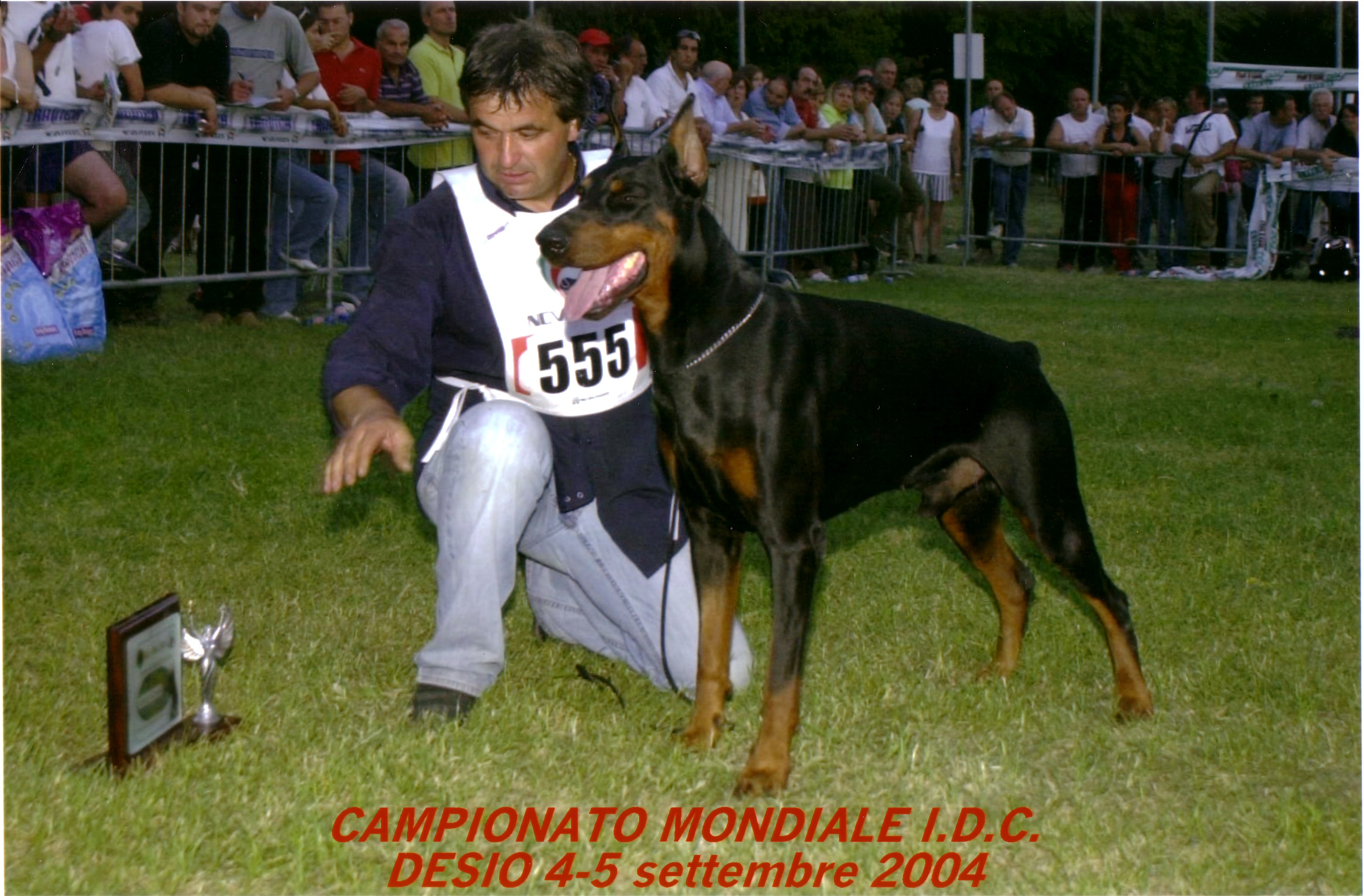 IDC DESIO 2004
