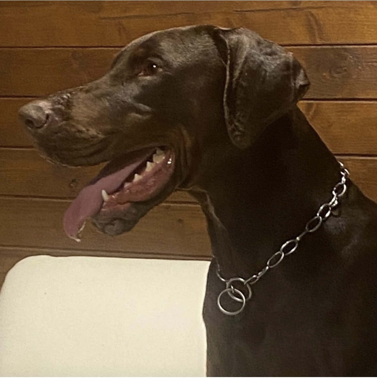 Junior
